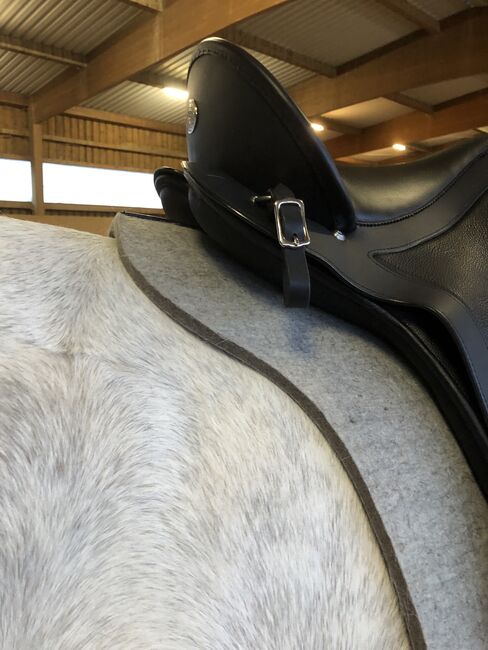 Deuber Impuls SKL, Deuber und Partner  Impuls SKL, Ela, Dressage Saddle, Empfingen , Image 5