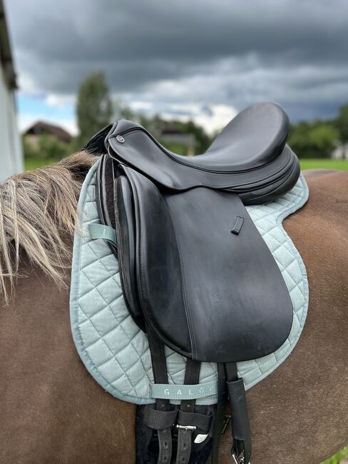 Deuber Maxima Ultraflex S3, Kammer stufenlos, Deuber & Partner Maxima Dressur, Eli, Dressage Saddle, Häuseln am Holz, Image 6