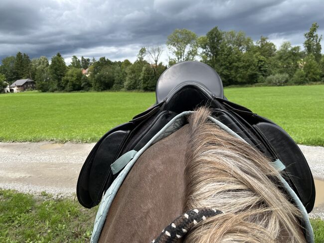 Deuber Maxima Ultraflex S3, Kammer stufenlos, Deuber & Partner Maxima Dressur, Eli, Dressage Saddle, Häuseln am Holz, Image 7