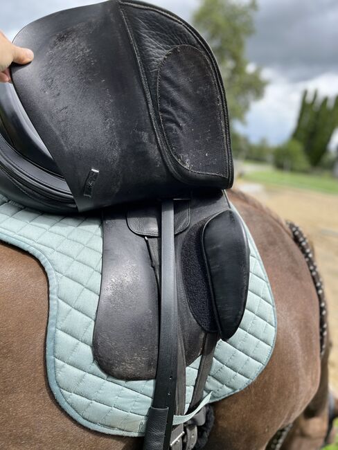 Deuber Maxima Ultraflex S3, Kammer stufenlos, Deuber & Partner Maxima Dressur, Eli, Dressage Saddle, Häuseln am Holz, Image 9