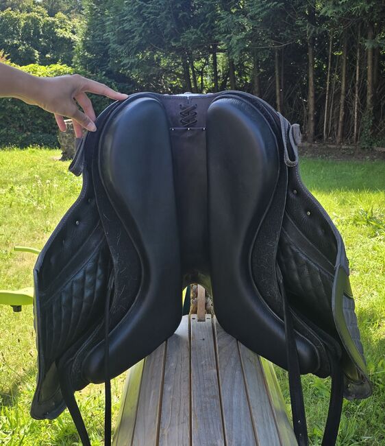 Deuber und Partner El Campo Shorty, Deuber El Campo Shorty, Gudrun König , Baroque Saddle, Blieskastel, Image 7