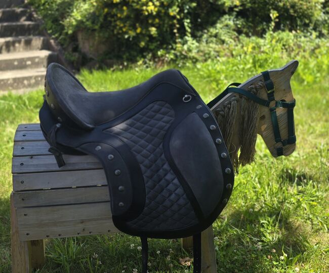 Deuber und Partner El Campo Shorty, Deuber El Campo Shorty, Gudrun König , Baroque Saddle, Blieskastel