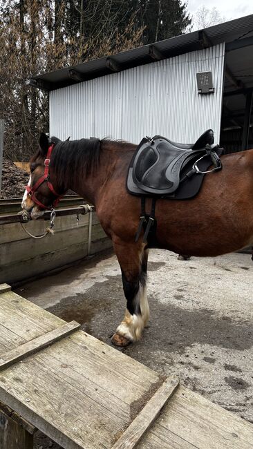 Deuber & Partner El Campo SKL S3, Deuber und Partner El Campo SKL , Cheyenne Krewer, Baroque Saddle, Dornbirn , Image 11