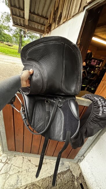 Deuber & Partner El Campo SKL S3, Deuber und Partner El Campo SKL , Cheyenne Krewer, Baroque Saddle, Dornbirn , Image 5