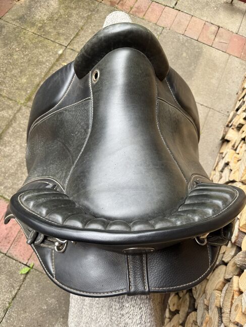Deuber & Partner Ibero Verano, Deuber & Partner  Ibero Varano, Else , Baroque Saddle, Hohenlockstedt, Image 6