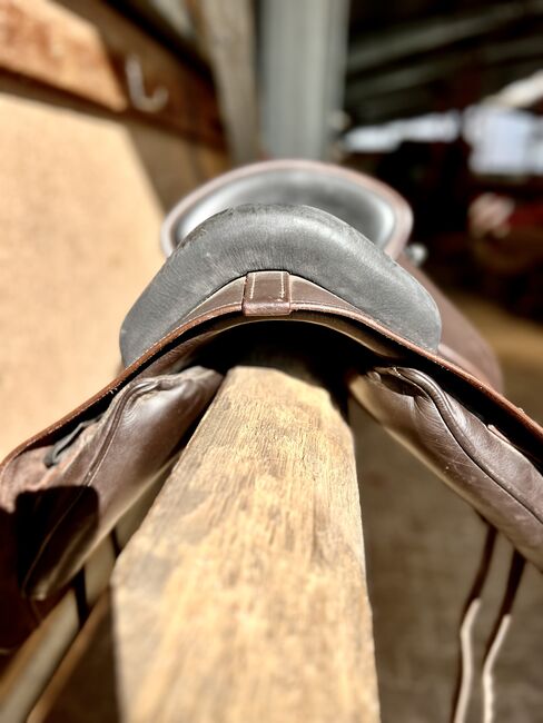 Deuber & Partner Orleans, Deuber & Partner  Orleans , Janine , Baroque Saddle, Ahnsen, Image 8