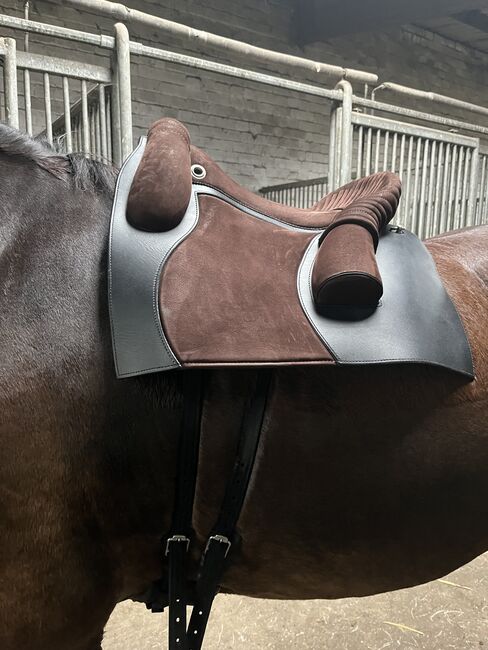 Deuber & Partner Sattel Amarant bückeburger, Deuber & Partner Amarant Bückeburger  Amarant Bückeburger , Lea, Baroque Saddle, Oetjendorf