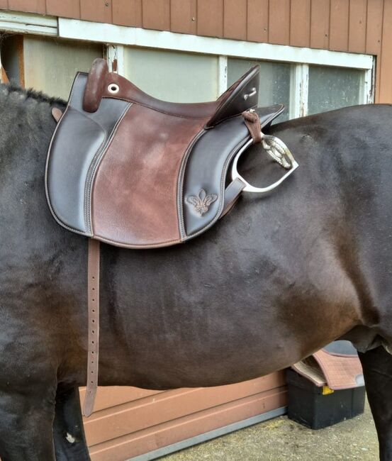 Deuber&Partner Sattel, Deuber&Partner Verano, Kerstin , Baroque Saddle, Buttisholz , Image 6