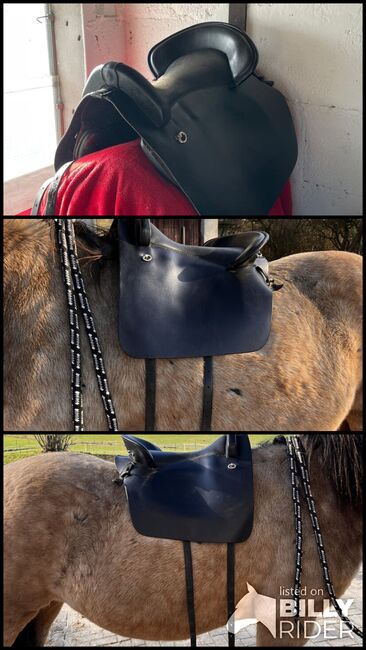 Deuber & Partner Startrekk Espaniola S2, Deuber & Partner  Startrekk Espaniola , Frauke, Baroque Saddle, Wölfersheim, Image 4