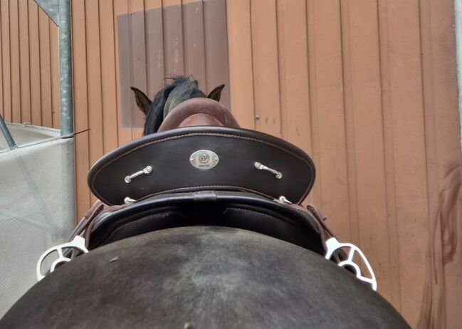 Deuber&Partner Sattel, Deuber&Partner Verano, Kerstin , Baroque Saddle, Buttisholz , Image 5
