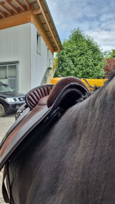 Deuber&Partner Sattel, Deuber&Partner Verano, Kerstin , Baroque Saddle, Buttisholz , Image 3