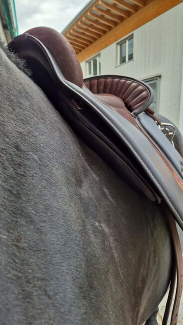 Deuber&Partner Sattel, Deuber&Partner Verano, Kerstin , Baroque Saddle, Buttisholz , Image 4