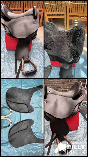 Deuber Quantum mit viel Zubehör, Deuber & Partner Quantum, Steffi, Endurance Saddle, Bergheim, Image 7