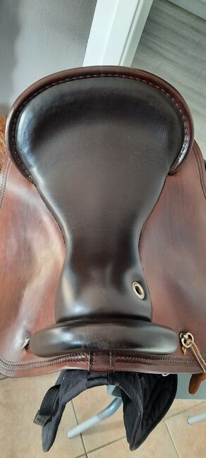 Deuber Quantum S3, Deuber Quantum, Mailin Schmalz, Other Saddle, Lehre, Image 10