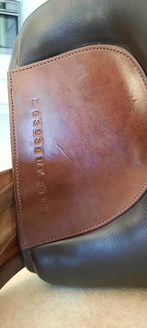 Deuber Quantum S3, Deuber Quantum, Mailin Schmalz, Other Saddle, Lehre, Image 3