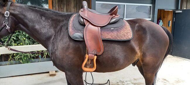 Deuber Quantum Wanderreitsattel Short S2, Deuber Quantum Short, Petra Hackl-Wührer , Endurance Saddle, 4840 pilsbach