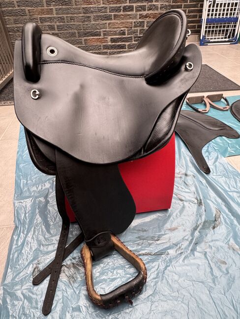 Deuber Quantum mit viel Zubehör, Deuber & Partner Quantum, Steffi, Endurance Saddle, Bergheim, Image 2