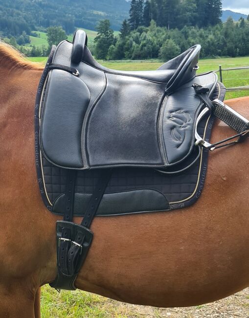 Deuber Startrekk Espaniola Bonita S3, Deuber Startrekk Espaniola Espaniola, Rosmarie Hofer, Baroque Saddle, Hof bei Salzburg, Image 7