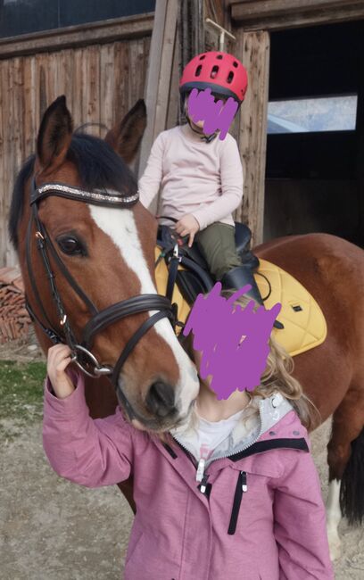 Deutsche Reitpony Stute, Meggi , Pferd kaufen, Niederbreitenbach