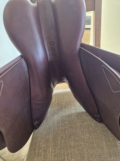 Devocoux Biarritz O immaculate, Devocoux Biarritz O, Silvija Husar, Jumping Saddle, Clones