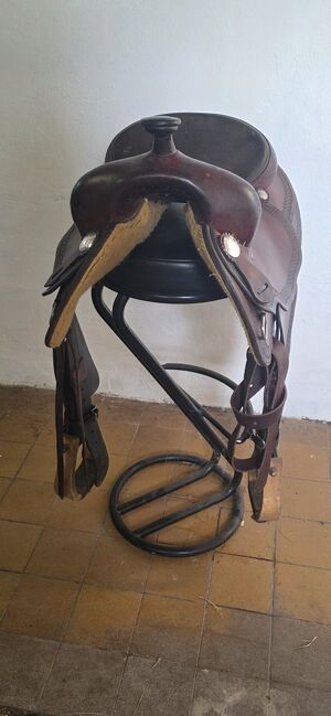 Diamond C, Diamond C  Diamond C SQ, Jeannette Weißenborn , Western Saddle, Nessetal, Image 4