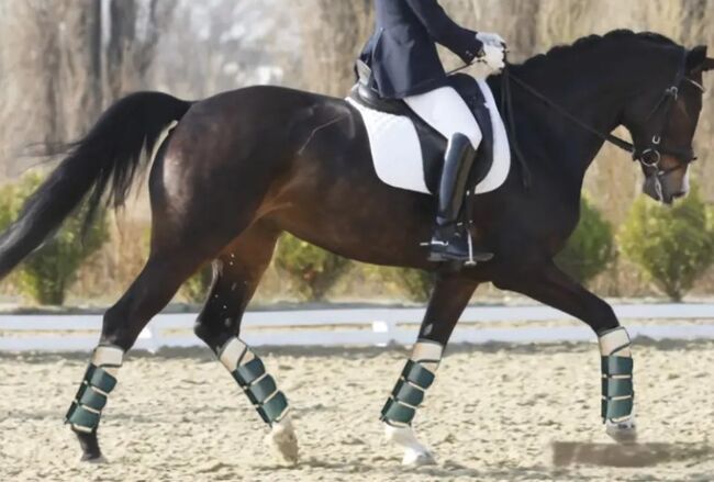 Brillante goldene diamantene Gamaschen, Gr. L, atmungsaktiv, Chew, Andrea Schürmann, Tendon Boots, Lichtenau, Image 4
