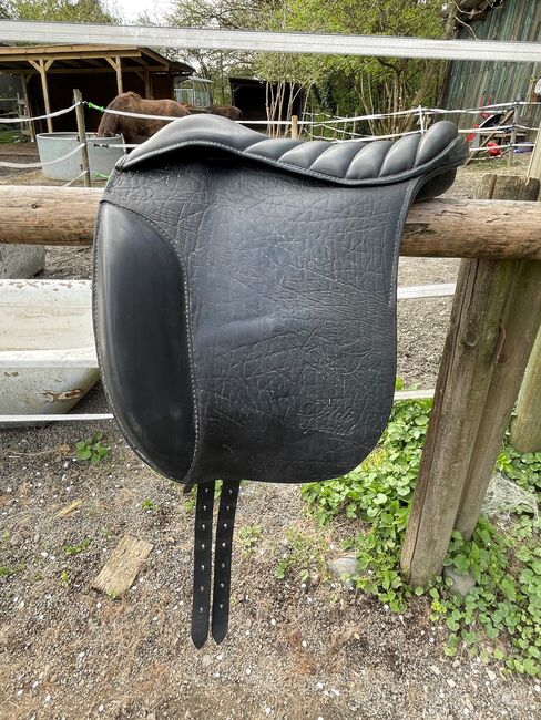 Diddi Bardason Töltkissen, Töltkissen Diddi Bardason, Julia von Griesheim, Icelandic Saddle, Rosbach vor der Höhe, Image 2