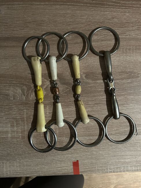 Verschiedene Gebisse, Sophie humm, Horse Bits, Langelsheim