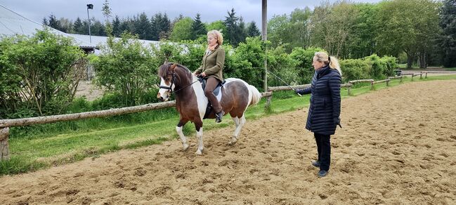 Dipl. Vet.Ing, Susanne, Riding Lessons, Flechtingen , Image 4