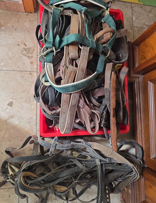 diverses Zaumzeug/Hilfsgüter usw, Maren, Training Aids, Heidenheim 