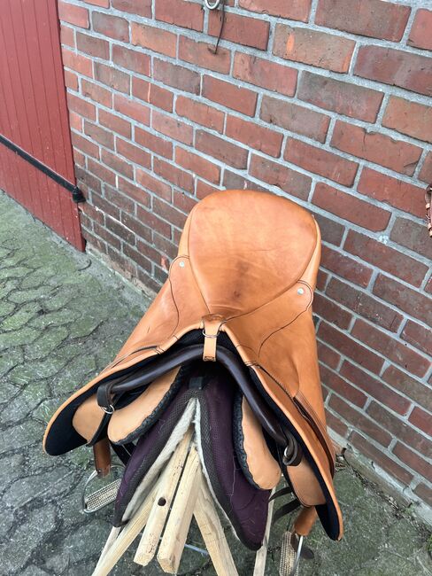 Diverses Zubehör Rund ums Pferd Gurte Sättel Trensen, Deuber und Partner  Cadence , FSI, Saddle Accessories, Schiffdorf, Image 15