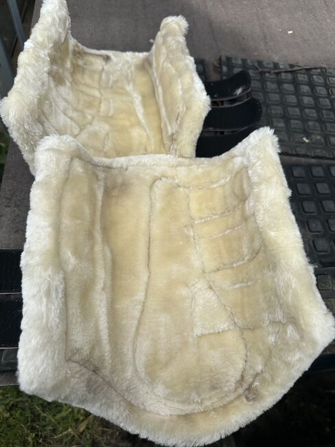 Verschiedene Gamaschen XL, RidersDeal und Waldhausen, JT, Tendon Boots, Nauen, Image 3