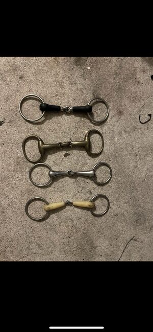 verschiedene Gebisse, Janina S., Horse Bits, Uelzen