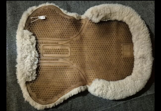 Verschiedenes an Sachen, Felix Bühler HVPolo Eskadron Dressur und Spring, Vanessa, Bareback pads, Buttikon