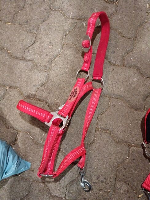 Verschieden Halfter in Größe Pony, Tamara, Halters, Wischhafen, Image 8