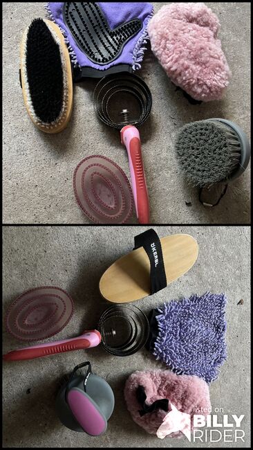 Verschiedene Putzsachen, Uschi Nowlan, Grooming Brushes & Equipment, München, Image 3