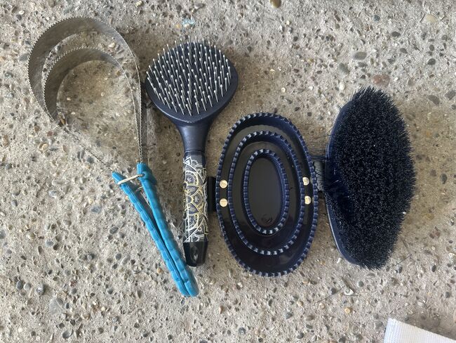 Verschiedene Putzartikel, Thalia, Grooming Brushes & Equipment, Wangen b. Dübendorf