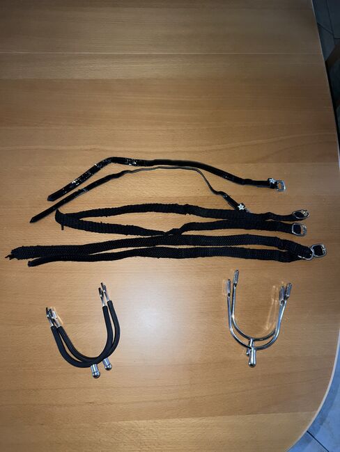 Verschiene Sporen mit Riemchen, Sprenger, No name…, Alina F., Spurs & Spur Straps, Kolkwitz