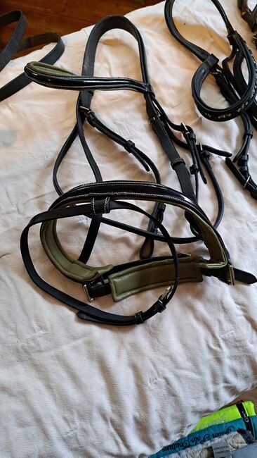 Diverse Trensen /Reithalfter, Hüther, Bridles & Headstalls, Berlin , Image 4
