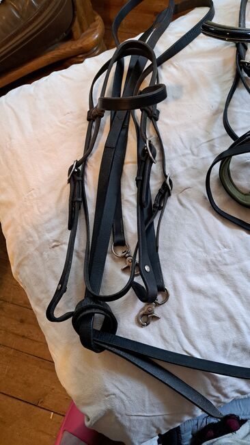 Diverse Trensen /Reithalfter, Hüther, Bridles & Headstalls, Berlin , Image 5
