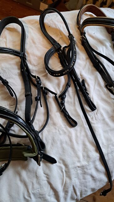 Diverse Trensen /Reithalfter, Hüther, Bridles & Headstalls, Berlin , Image 3