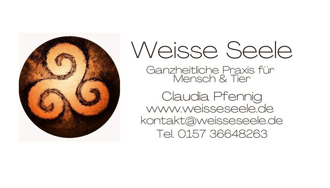 Tierkommunikation - energetische Osteopathie, Pferd, Hund, Katze, Claudia Pfennig WeisseSeele, Therapy & Treatment, Bad Birnbach