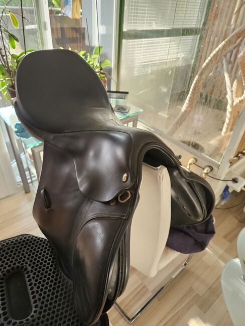 DMS saddle and accavallo gel, DMS , Anja, Jumping Saddle, Celje