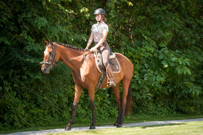 Brave Stute für Sport- und Freizeitreiter, Pauline E., Konie na sprzedaż, Gleisdorf, Image 7