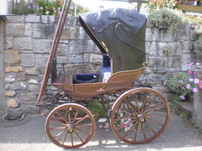 Doktor Chaise Kutsche, Burkhard Carrosserie Sumiswald Doktor Chaise Kutsche, Marianne - HorseFoodCare, Carriages, Uetendorf, Image 3