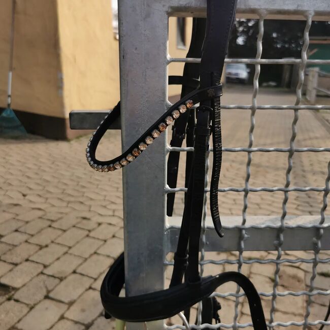 Döbert Trense Classic, Döbert  Trense classic , Jessica, Bridles & Headstalls, Cochem Brauheck