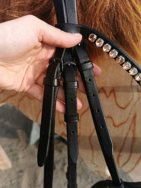 Döbert Trense Classic, Döbert  Trense classic , Jessica, Bridles & Headstalls, Cochem Brauheck, Image 7