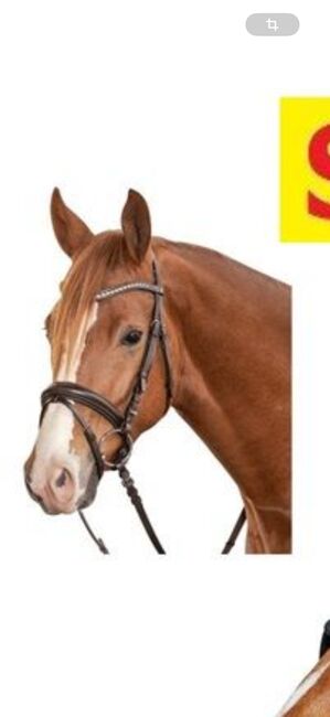 Döbert Trense Farmer III WB braun, Döbert Farmer III, Sophia Cornelsen, Bridles & Headstalls, Neudrossenfeld