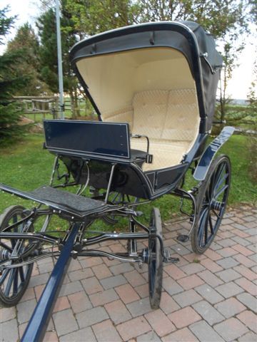 Doktorchaise, Nadja Peter, Kutschen, Ettingen