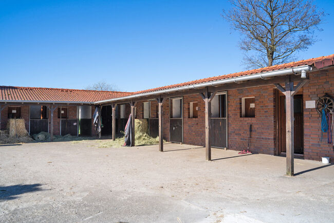 Niedersachsen, Ostfriesland, nahe Wittmund - Reiter/-Ferienhof zu verkaufen, Sabine Wesseln (Maras World of Horses, Maras World Solutions S.L.), Nieruchomości jeździeckie, Wittmund, Image 4